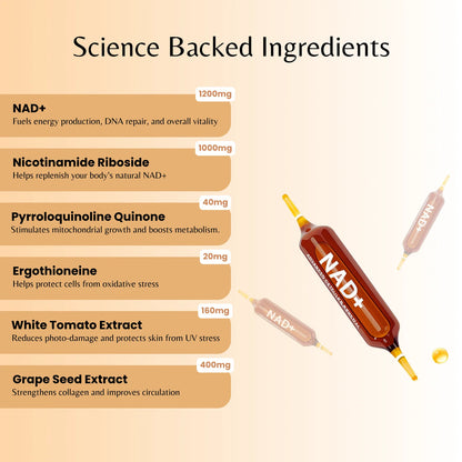 NAD+ Supplement